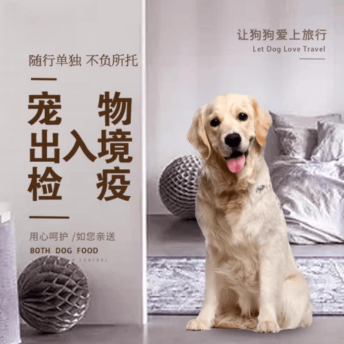 东莞市宠物托运到哥伦比亚猫狗宠物入境规定和
