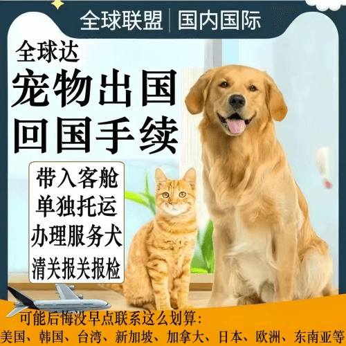 东莞市宠物托运到柬埔寨宠物入境规定和要求