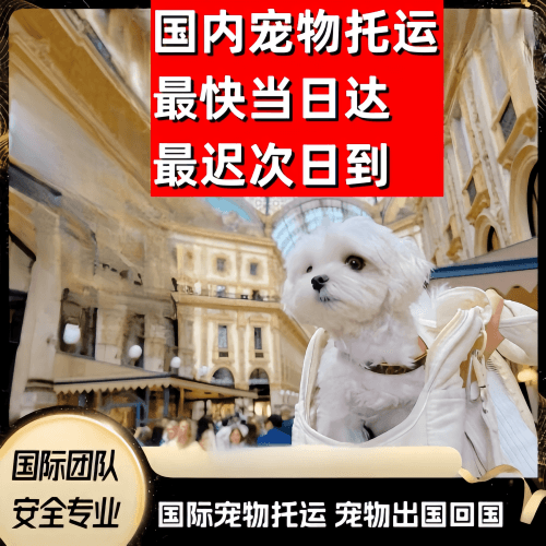 东莞市到澳大利亚（澳洲）宠物入境规定和要求