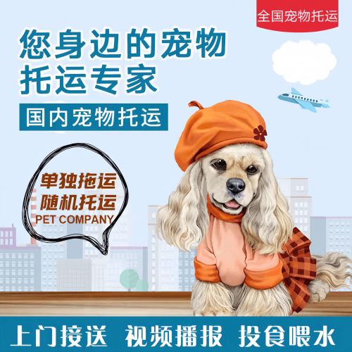 满财东莞市宠物全球达宠物托运作为专业的宠物运输代理机构